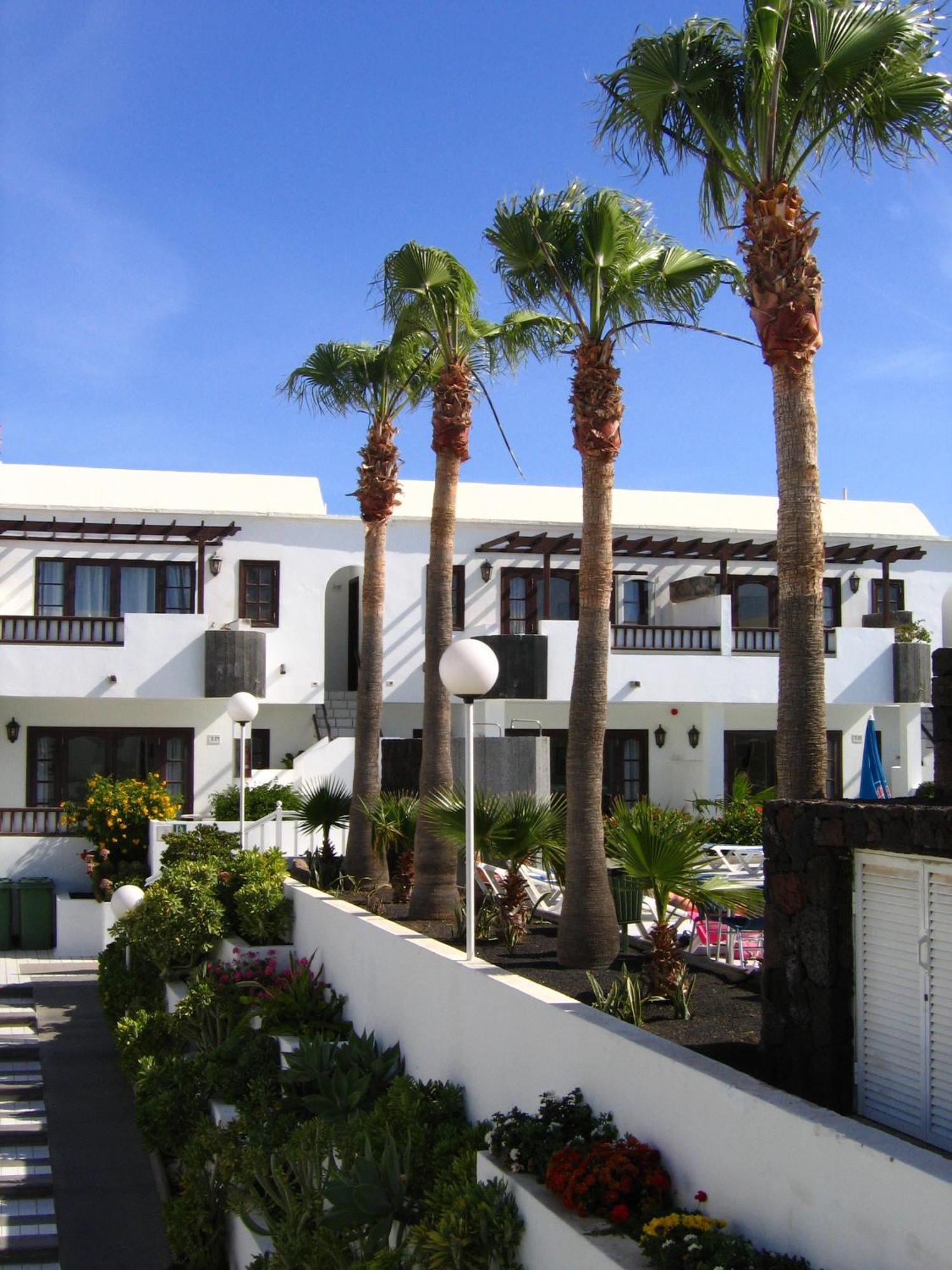 אפרטהוטל פוארטו דל כרמן Plaza Azul מראה חיצוני תמונה
